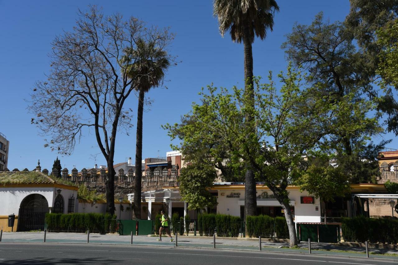 Modern Atico, Close Macarena/Sevilla Center Εξωτερικό φωτογραφία