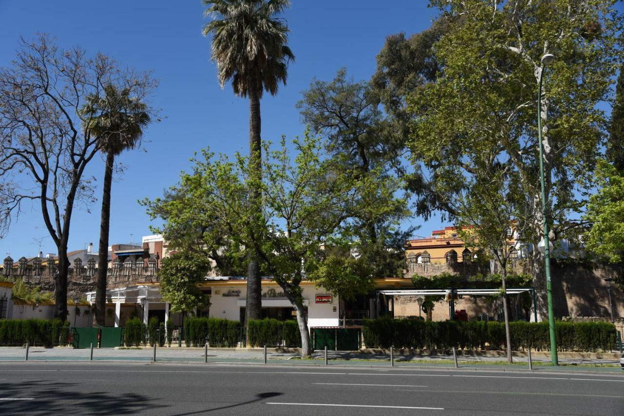 Modern Atico, Close Macarena/Sevilla Center Εξωτερικό φωτογραφία